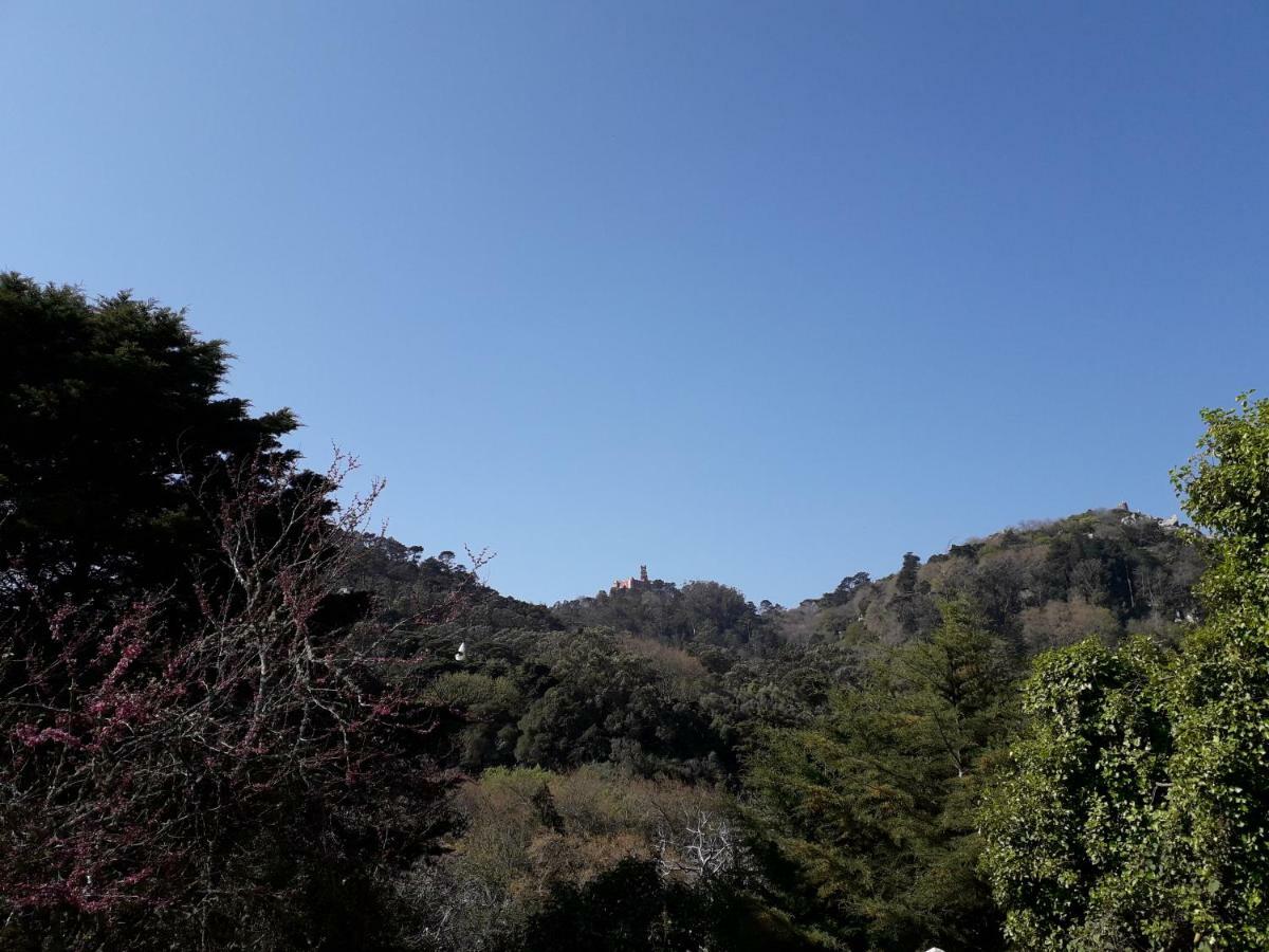 A Casinha Villa Sintra Exterior photo